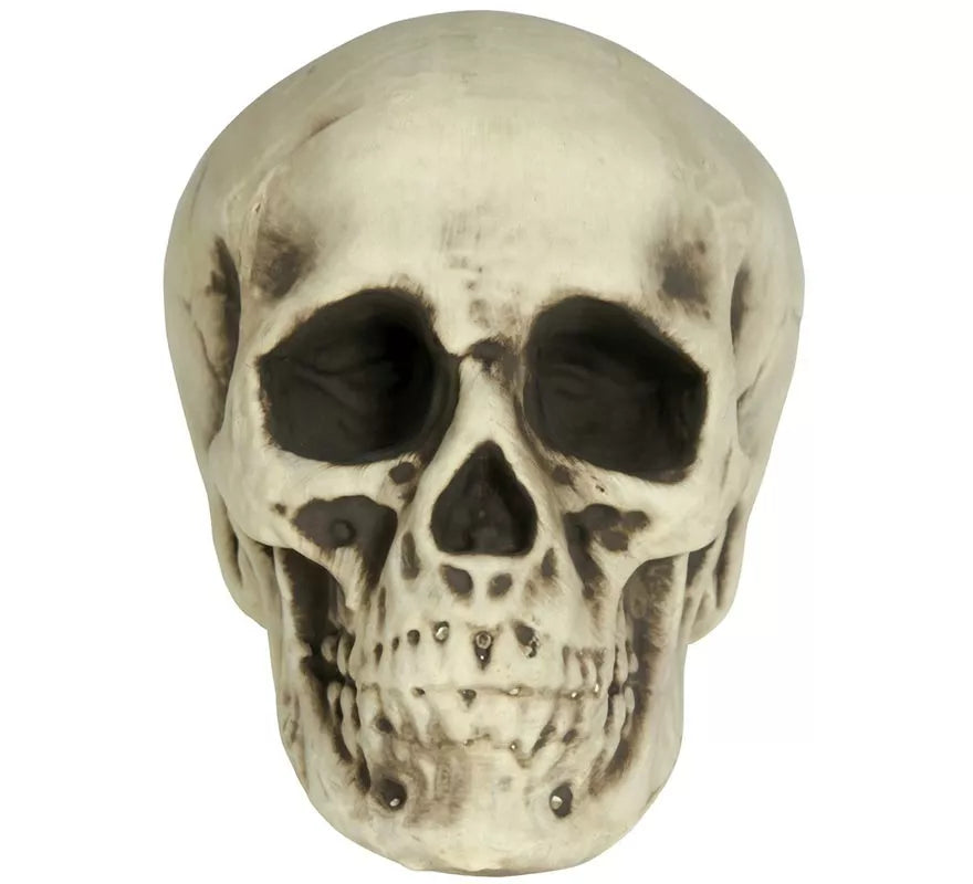 Translation missing: it.Calavera de Foam 20 cm