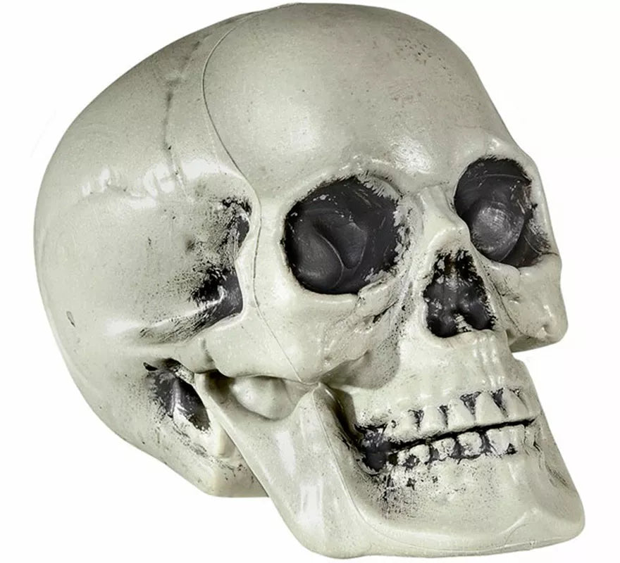 Translation missing: it.Calavera de PVC de 21 cm