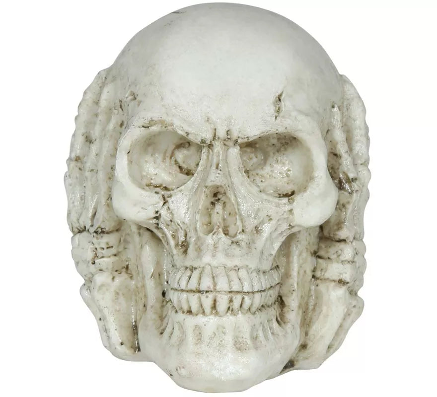 Translation missing: it.Calavera de Resina de 6 cm