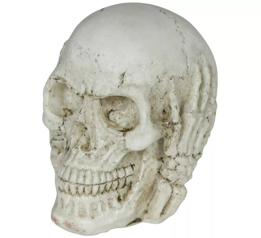 Translation missing: it.Calavera de Resina de 6 cm
