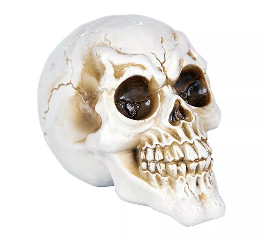 Translation missing: it.Calavera Desgastada feliz de 11,50x17x12,50 cm