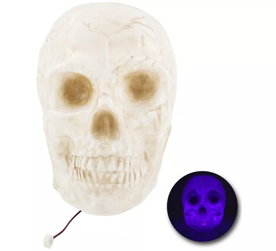 Translation missing: it.Calavera Grande con Luz de 25x30x30 cm