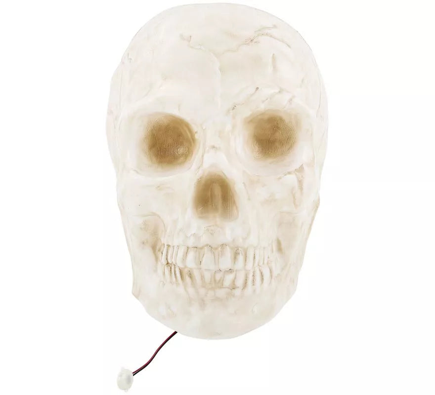Translation missing: it.Calavera Grande con Luz de 25x30x30 cm