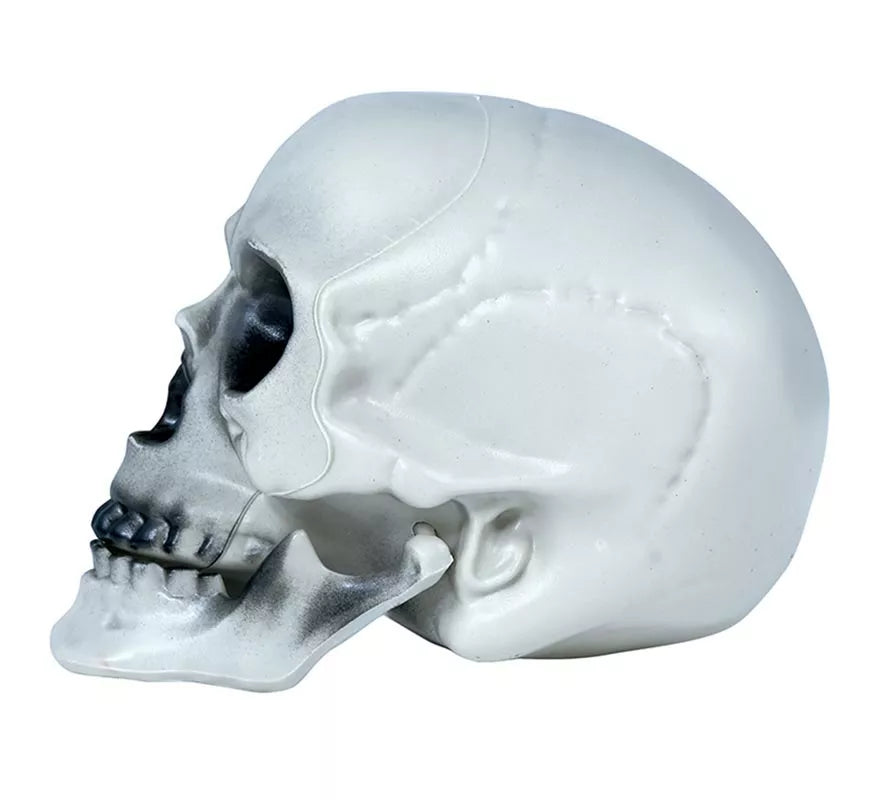 Translation missing: es.Calavera PVC 20 cms