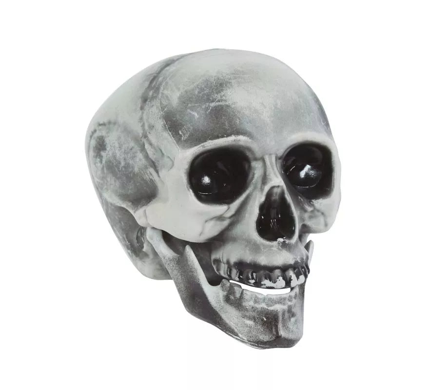 Translation missing: it.Calavera PVC 20 cms