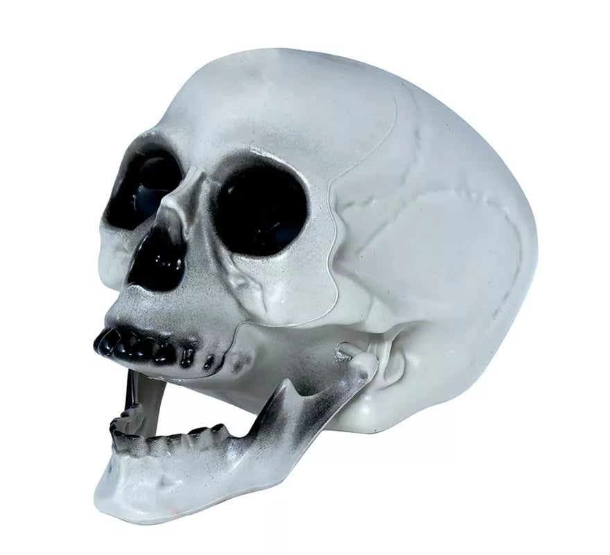 Translation missing: it.Calavera PVC 20 cms