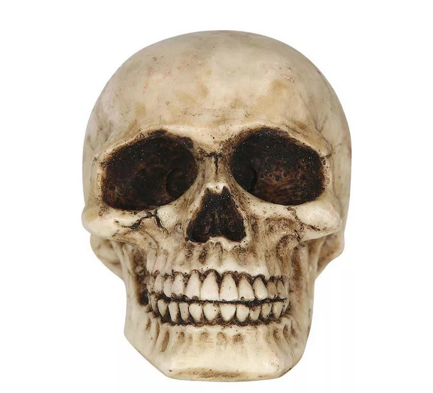 Translation missing: it.Calavera Resina de 8 cm
