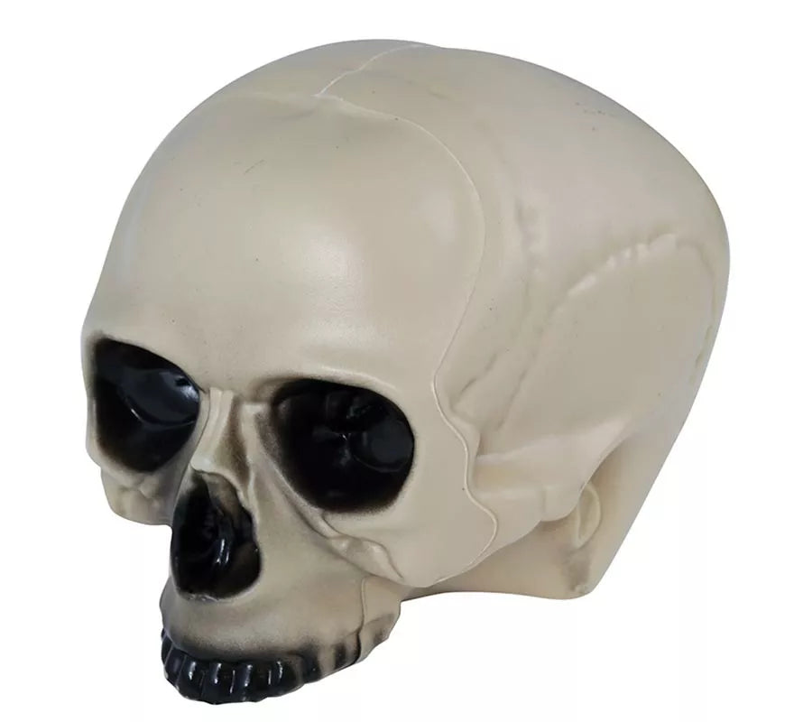 Translation missing: it.Calavera sin Mentón 20 cm