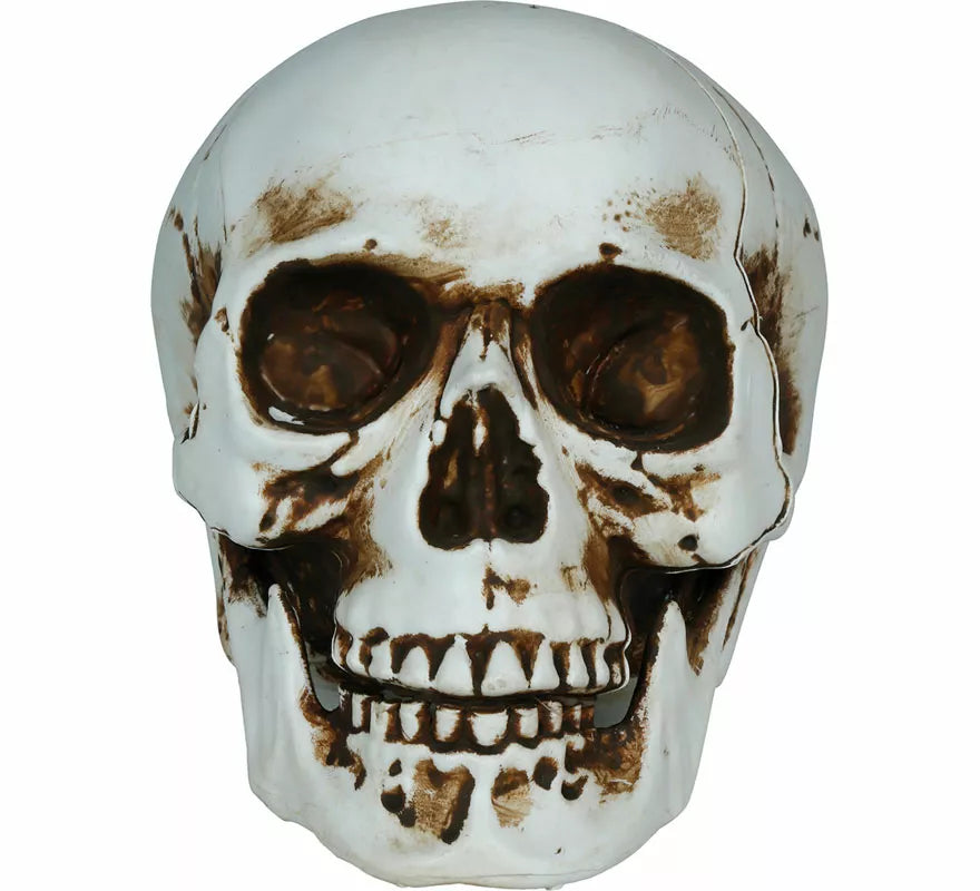 Translation missing: it.Calavera Sombras de 20 cm