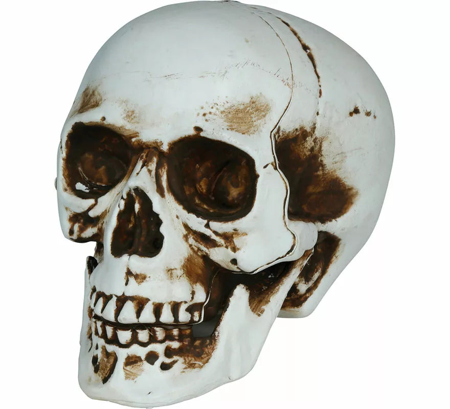Translation missing: it.Calavera Sombras de 20 cm