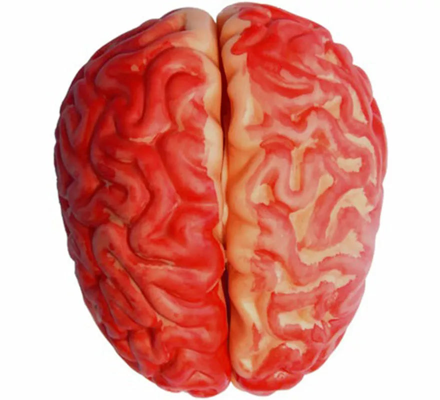 Translation missing: es.Cerebro Ensangrentado