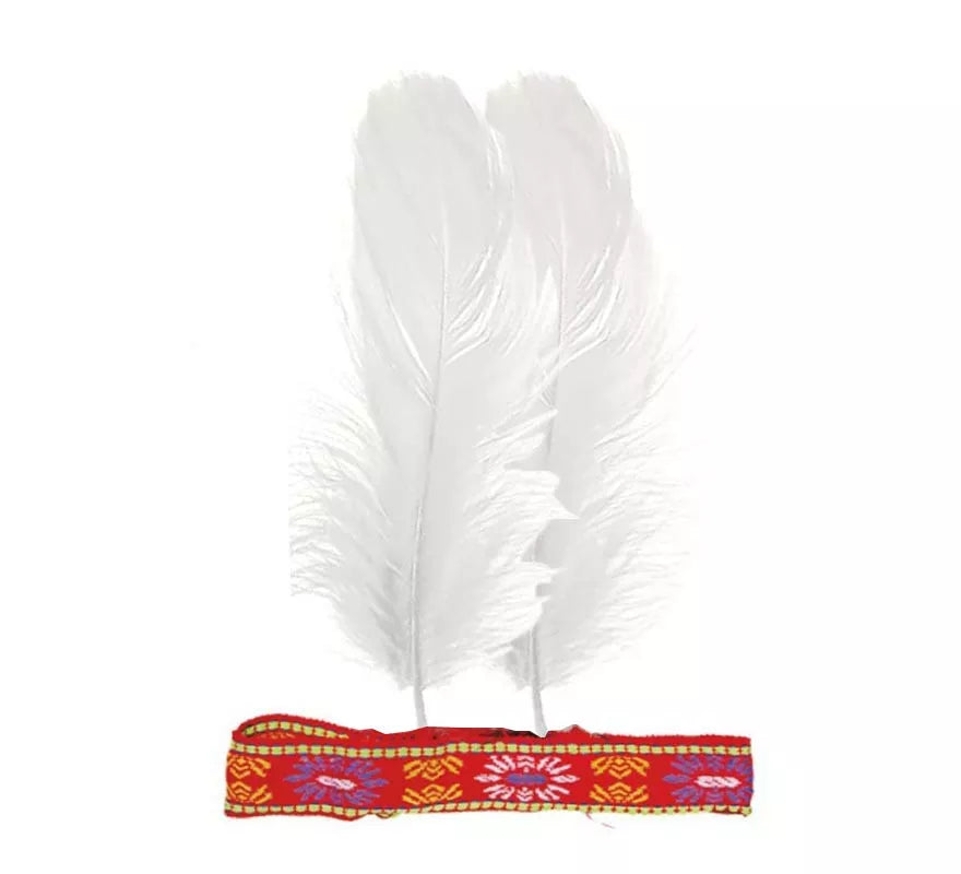Translation missing: it.Cinta de Plumas colores surtidos para India