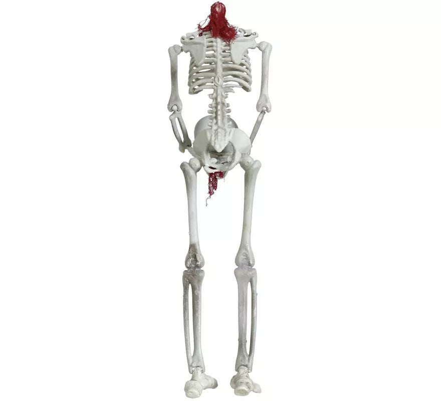 Translation missing: it.Colgante Esqueleto Sin Cabeza 37 cm