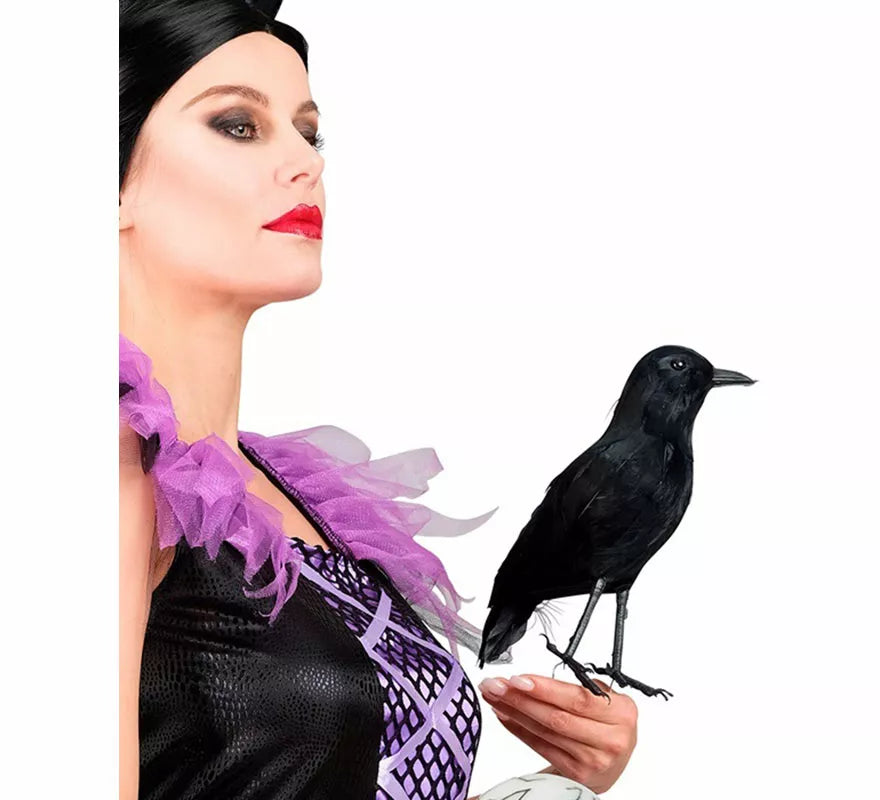 Translation missing: it.Cuervo negro con Plumas