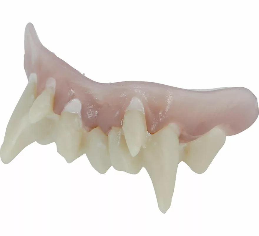 Translation missing: it.Dentadura de Nosferatu con Resina Termoplástica