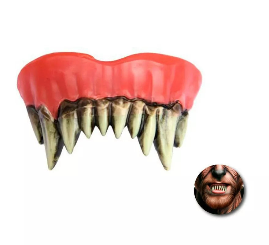 Translation missing: es.Dentadura Superior de Hombre lobo adulto