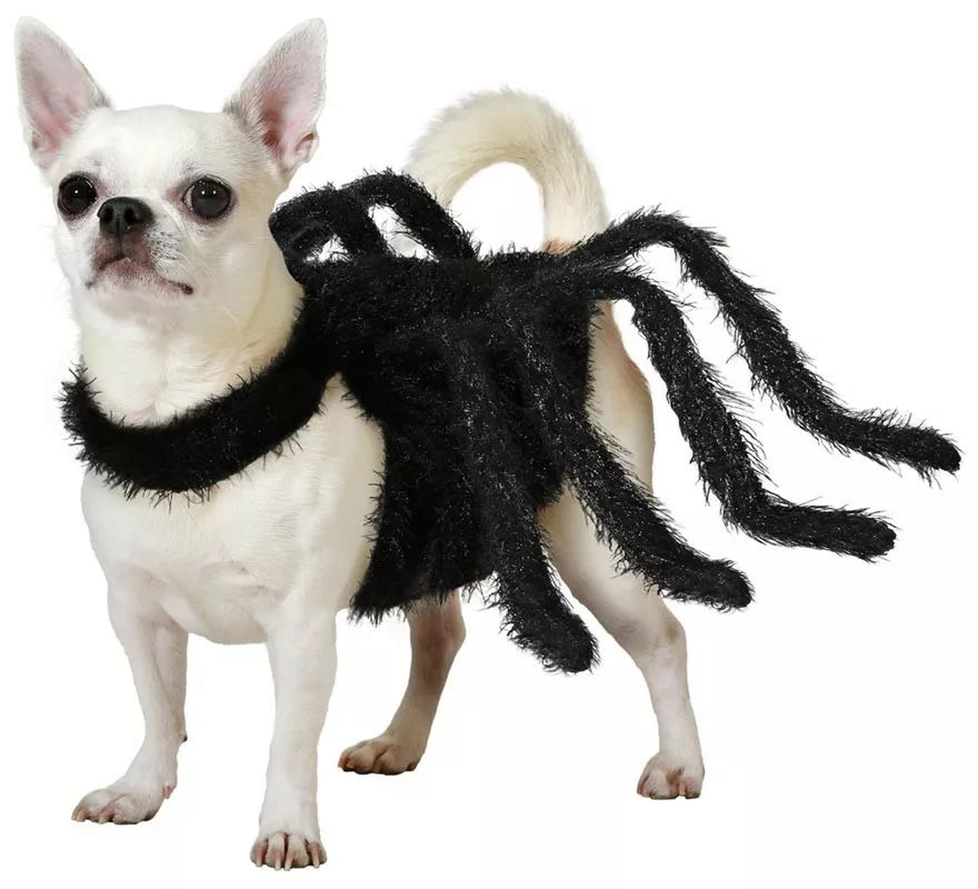 Translation missing: it.Disfraz de Araña Tarántula peluda para perro