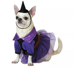 Disfraz de Bruja morada con sombrero para perro