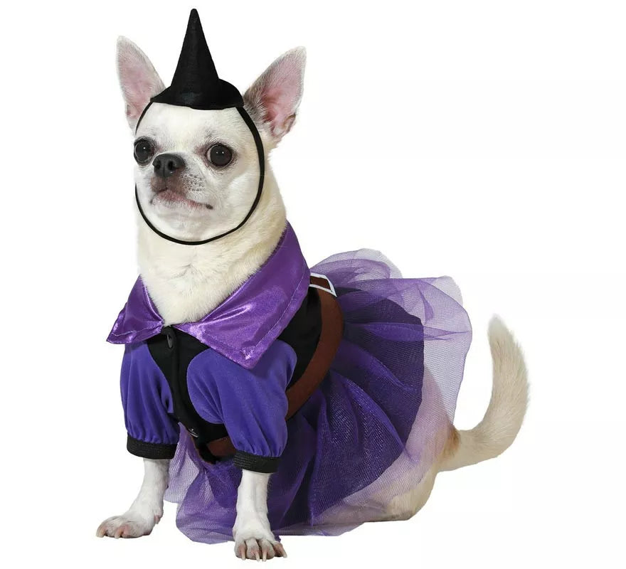 Translation missing: es.Disfraz de Bruja morada con sombrero para perro