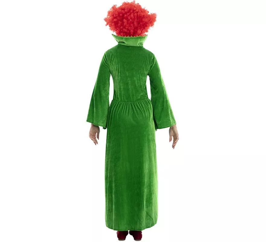 Translation missing: it.Disfraz de Bruja verde para mujer