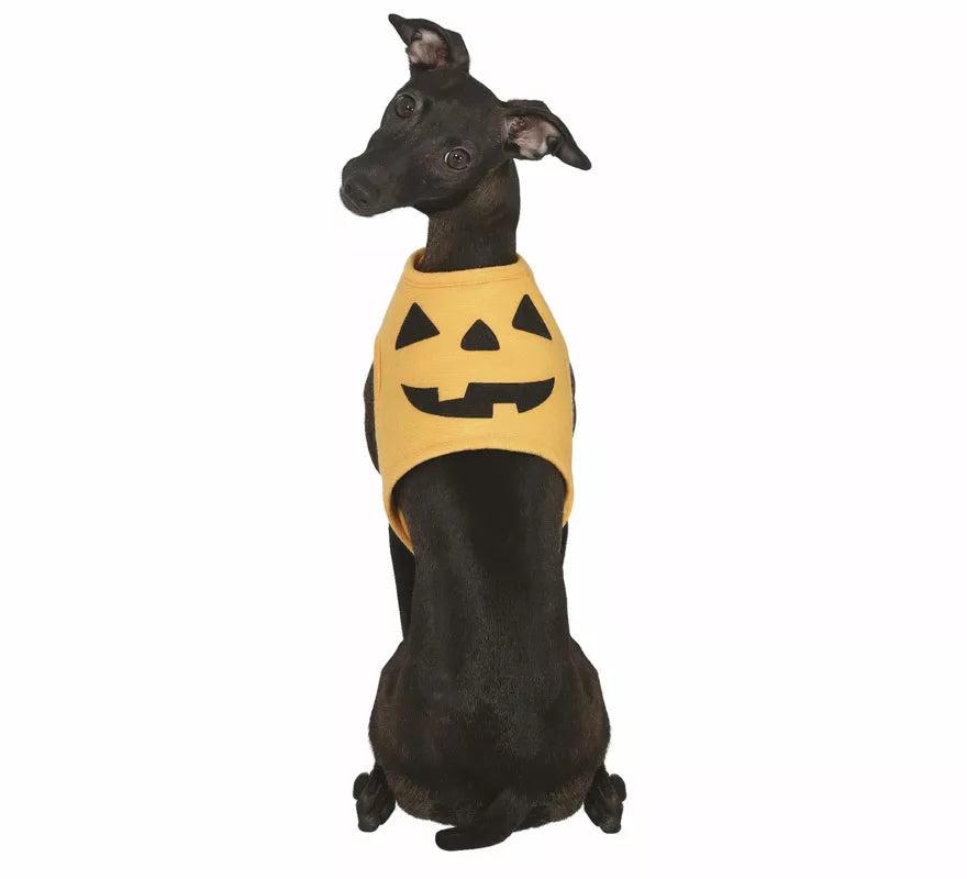 Translation missing: es.Disfraz de Calabaza Halloween para perro