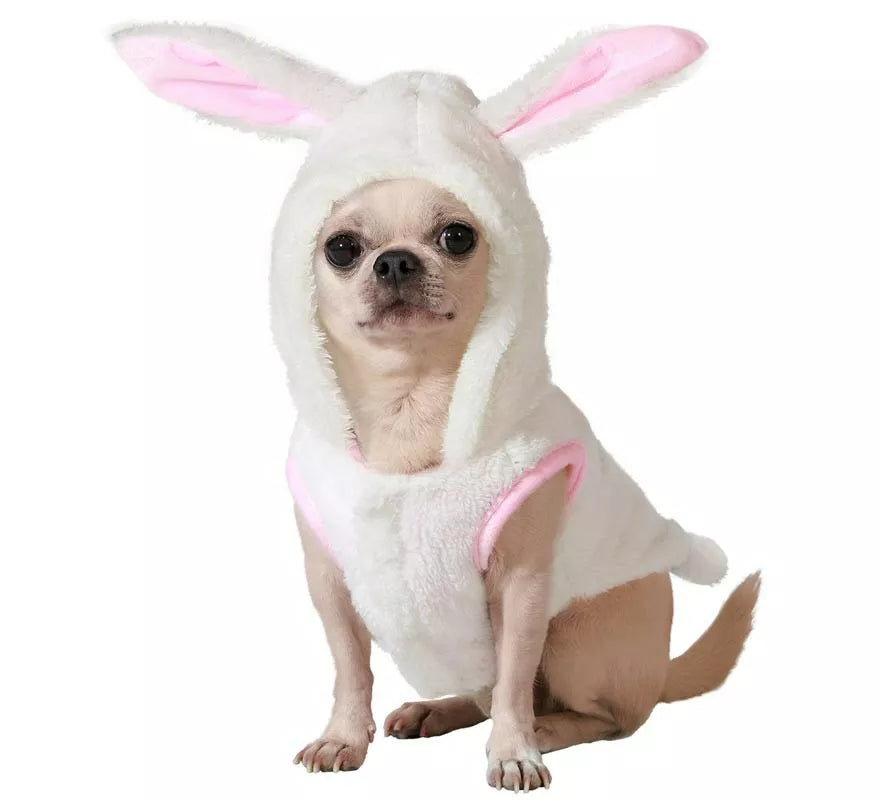 Translation missing: it.Disfraz de Conejo blanco para perro