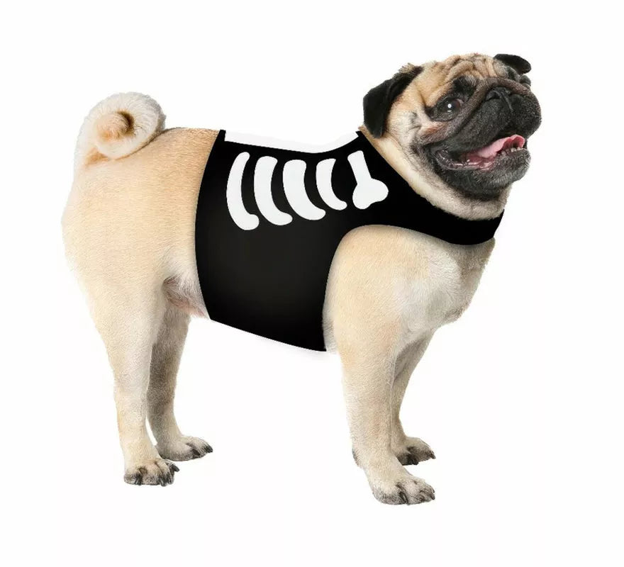 Translation missing: it.Disfraz de Esqueleto para perro