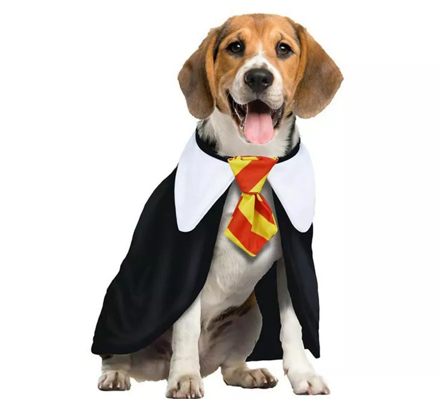 Translation missing: it.Disfraz de Estudiante de Magia para perro