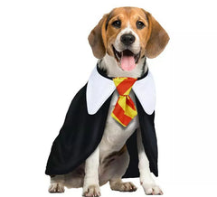 Costume da cane studente di magia