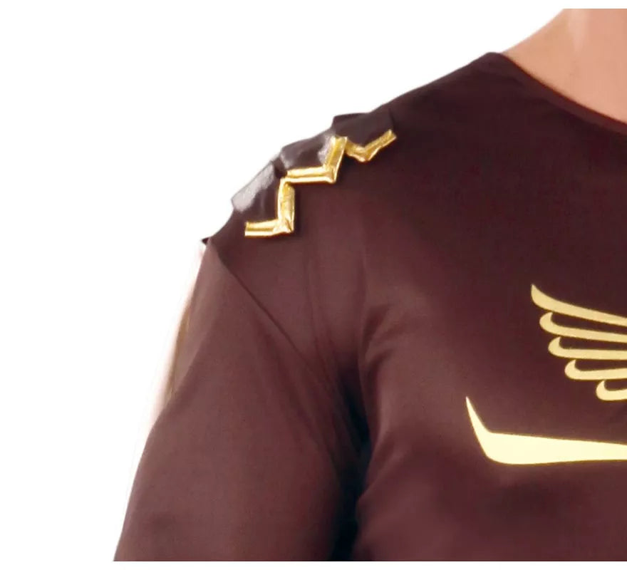 Translation missing: it.Disfraz de Gladius marrón para hombre