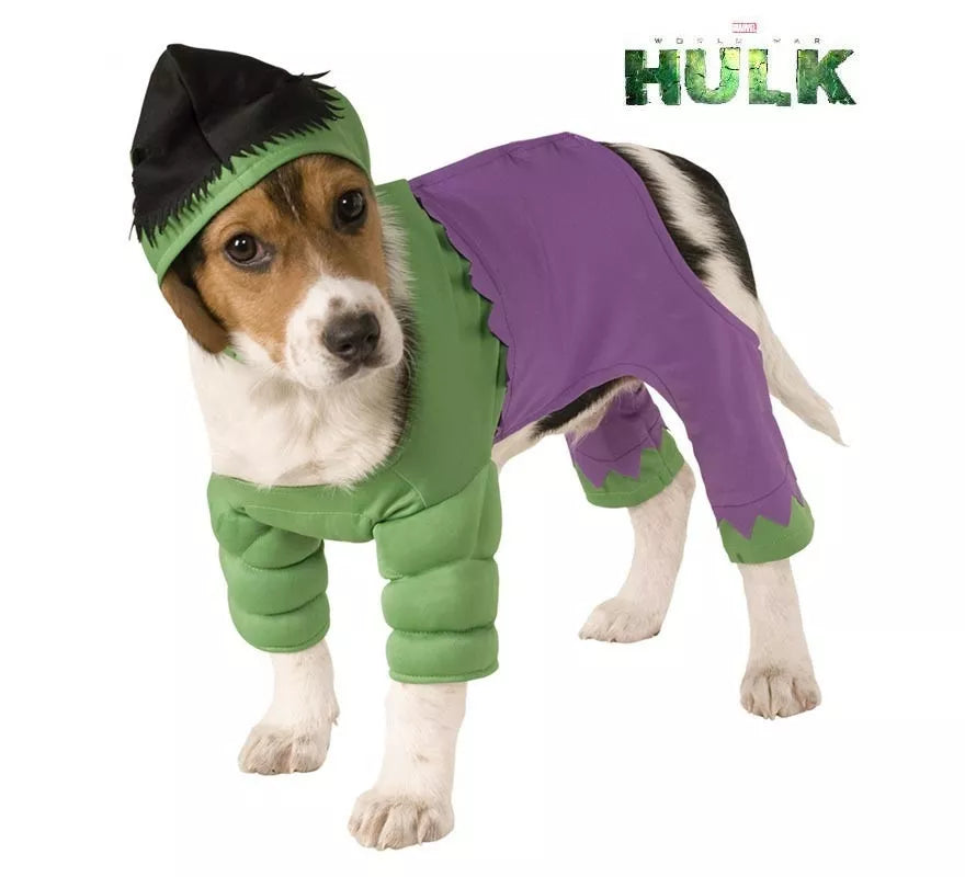 Translation missing: it.Disfraz de Hulk con gorro para perro