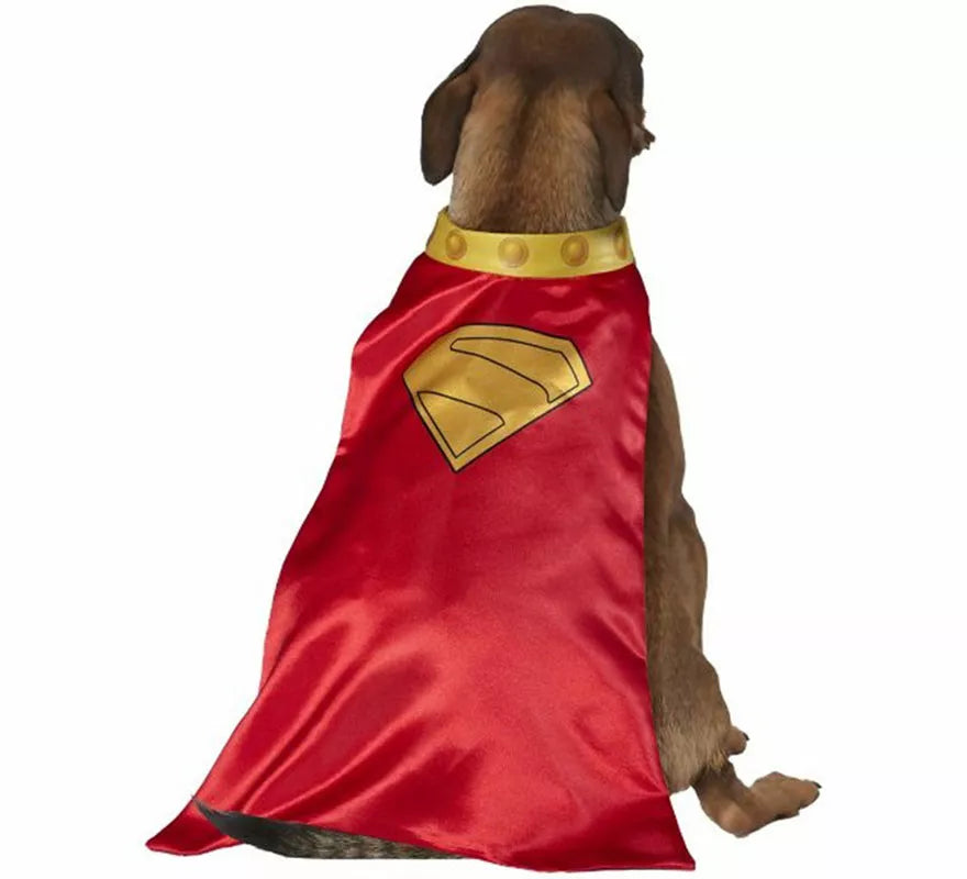 Translation missing: it.Disfraz de Krypto Superman para perro