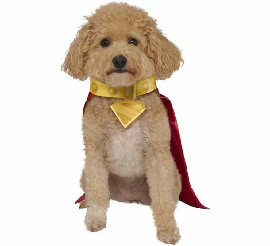 Translation missing: it.Disfraz de Krypto Superman para perro