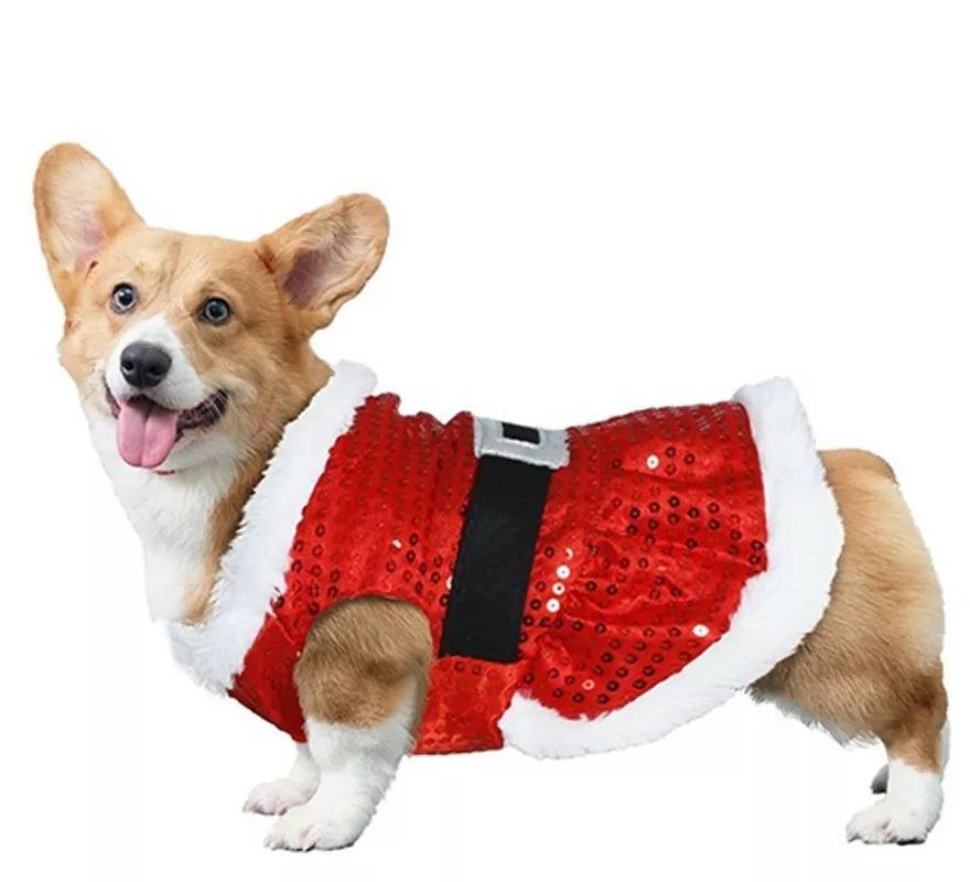 Translation missing: it.Disfraz de Papá Noel con lentejuelas para perro
