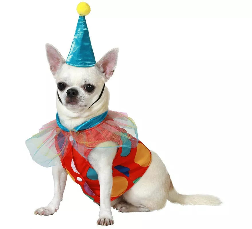 Translation missing: es.Disfraz de Payaso con Gorrito para perro