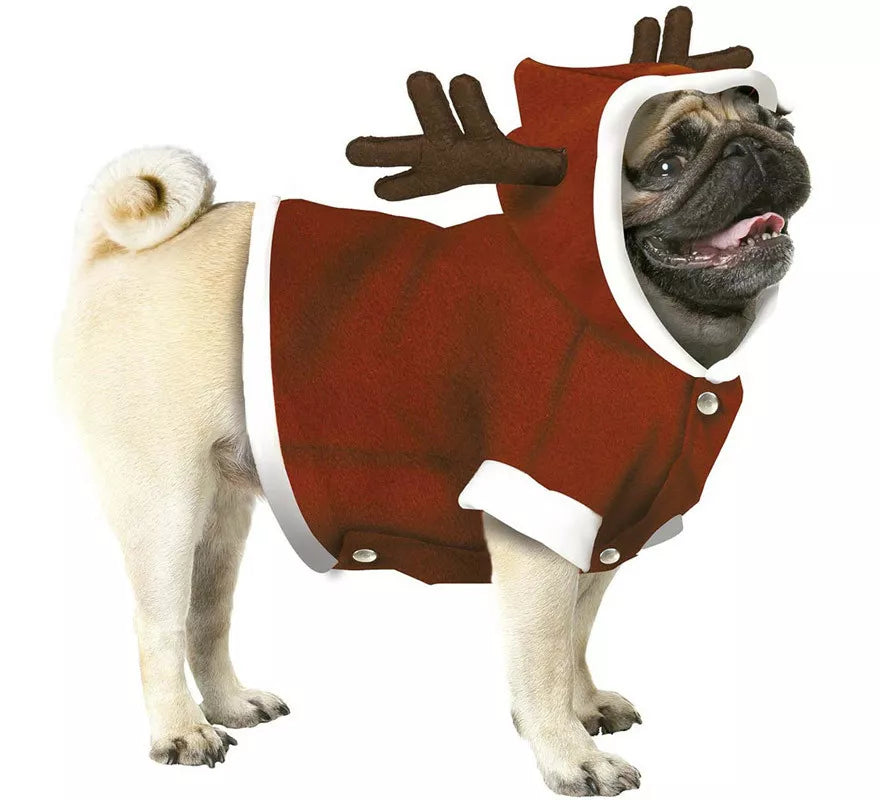 Translation missing: it.Disfraz de Reno de Papá Noel para perro