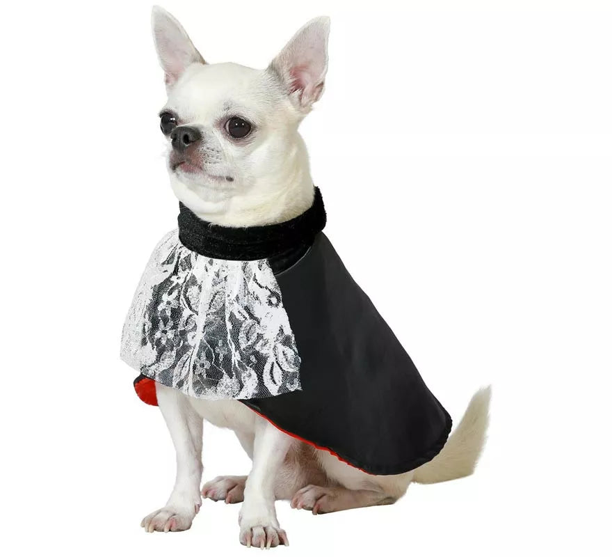 Translation missing: es.Disfraz de Vampiro Drácula para perro
