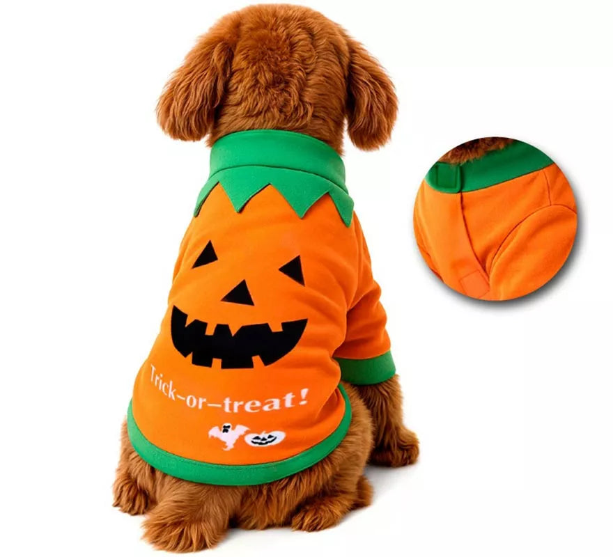 Translation missing: it.Disfraz Mascota Calabaza