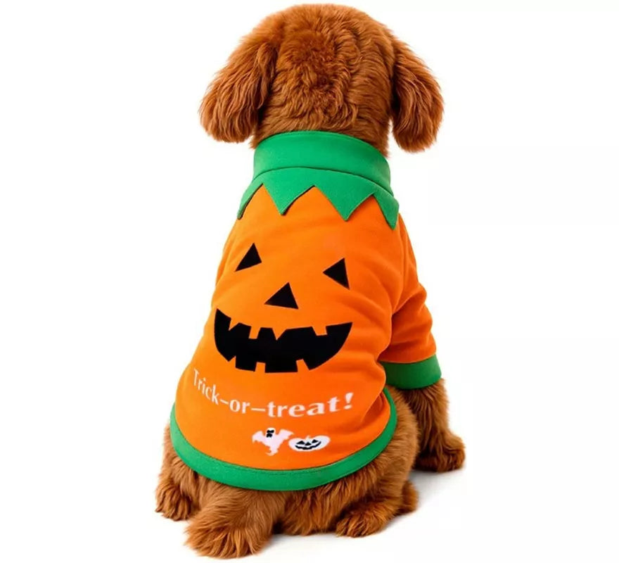 Translation missing: it.Disfraz Mascota Calabaza