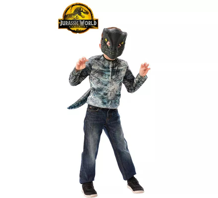 Translation missing: it.Disfraz o Kit de Velociraptor en Caja para niños