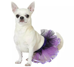 Costume o tutù da cane viola