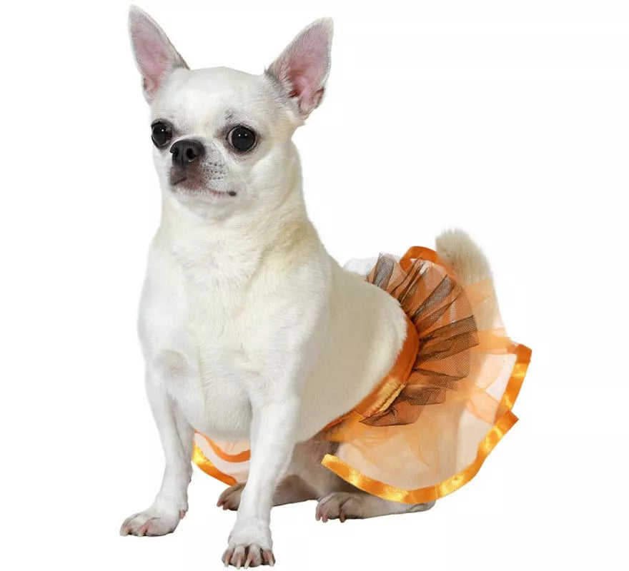 Translation missing: it.Disfraz o Tutú naranja para perro