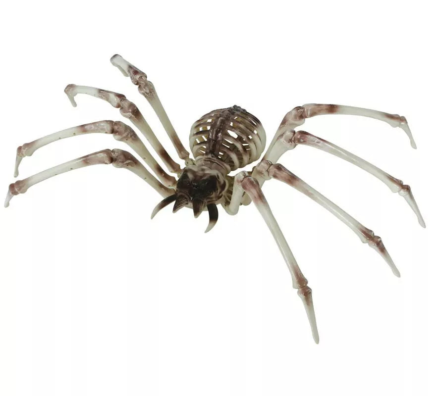 Translation missing: it.Esqueleto Araña 85x35 cm
