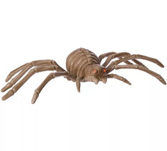 Scheletro Spider con luce, suono e movimento 96x48x16 cm