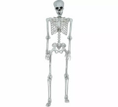 Scheletro articolato di 145 cm