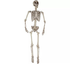 Scheletro sospeso di 165 cm