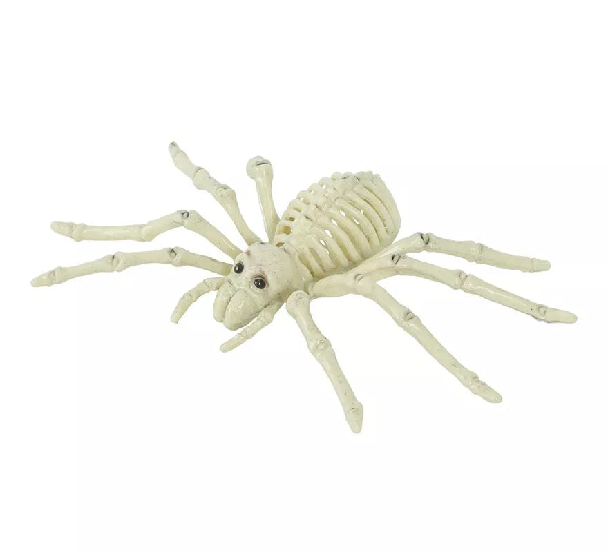 Translation missing: it.Esqueleto de Araña 24 Cm