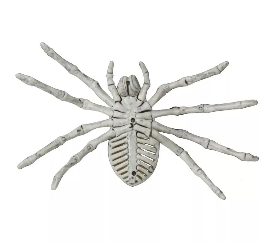 Translation missing: it.Esqueleto de Araña 24 Cm