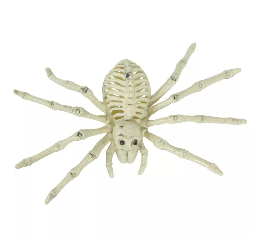 Esqueleto de Araña 24 Cm