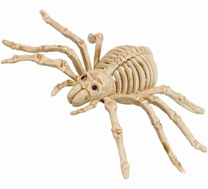 Translation missing: it.Esqueleto de Araña Aterradora de 24 cm